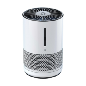 Air Purifier Ionizer